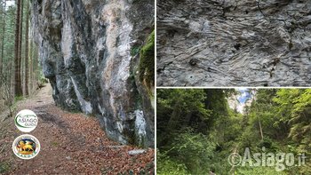 La strada dei primi uomini canove 2020 La strada dei primi uomini canove 2020