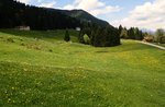 Excursion on the Sentiero dei Conti in Enego - 12 September 2021