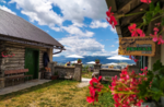 Melodies in Malga! Excursion, concert and farmer's snack - Naturalistic Museum of Asiago - July 22 2022