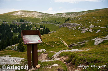 Escursione guidata sul Monte Fior con Guide Altopiano