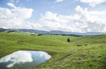 Passeggiata con accompagnatori partendo da Camporovere, sull'Altopiano di Asiago - 24 agosto 2017