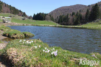 Pasquetta 2016 con asiago guide sul monte campolongo fb