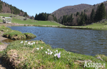 Excursion on Easter Monday with ASIAGO GUIDE, Asiago plateau, March 28, 2016