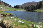 Escursione di Pasquetta con ASIAGO GUIDE, Altopiano di Asiago, 28 marzo 2016