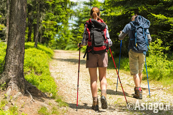 Passeggiata guidata nel bosco