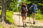 Emotionen in freier Wildbahn - Geführte Wanderung in Dry Woods mit Asiago Guide - 7. Juli 2020