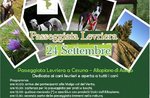 Greyhound walk from Malga With wind, on the Asiago plateau-24 September 2017