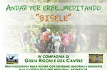 "Auf Kräutern... meditieren" - Meditative Exkursion zum Ferienort Bisele - 27. Juli 2019