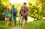 Passeggiata nel sottobosco