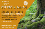 Dialoghi con la foresta: passeggiata sensoriale nel percorso benessere a Mezzaselva - 28 agosto 2021