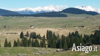 Pic-trek-nic a Marcesina Altopiano di Asiago