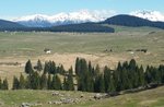 Pic-trek-nic Wanderung nach Marcesina mit Mittagessen in Malga oder eigenständigem Picknick - 7. juli 2021