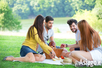 Picnic con gli amici