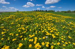 Didactic walk from Camporovere, on the Asiago plateau-August 10, 2017