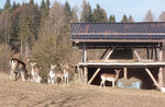 Ausflug auf dem Sensi-Weg in Enego - 8. November 2020