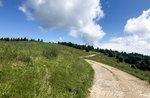 Excursion with the naturalist to Camporossignolo "Discovering the Plateau" - July 6 2021