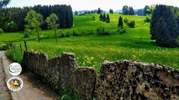 Sulle tracce dei cimbri