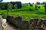 Sulle tracce dei Cimbri - Escursione guidata con Asiago Guide - 25 agosto 2020