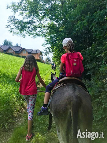 Trekking someggiato a Treschè Conca