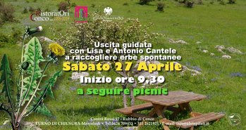 Uscita erbe spontanee e picnic a Conco Uscita erbe spontanee e picnic a Conco