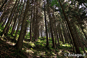 Escursione guidata Val D'Assa con Guide Altopiano