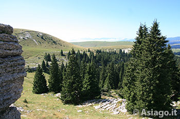 Val Miela - Altopiano di Asiago