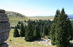 Guided hike to Val Miela with plateau, August 10 2013