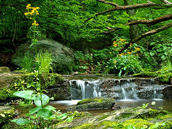 La Valle dei Mulini a Lusiana, Altopiano di Asiago