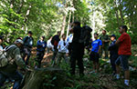 Guided walk through the Valle Mills Saturday, June 15