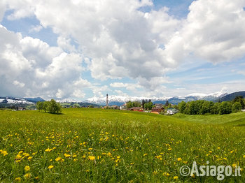 Vista su canove n2