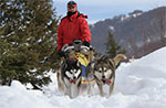 Dog sled tour in Val Ant in 08 09 weekend March 2014