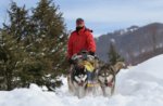Dog sled tour in Val Ant in weekend of 14 and 15 March 2015