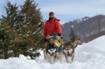 Hundeschlitten-Tour in Val Ant im Wochenende vom 14. und 15. März 2015