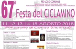 67 ^ feast of Cyclamen in Fontanelle 15 August 2018 From 11 to Conco-