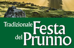 FESTA OF PRUNNO - Traditionelles Feuerwerk in Asiago - 16. August 2019