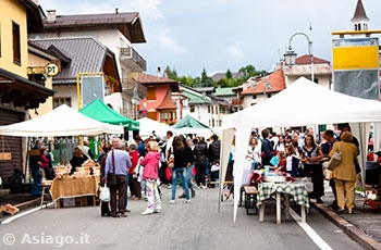 Giornata volontariato Asiago