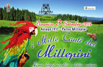 The thousand SONGS of MILLEPINI-Exhibition of birds and nature in Asiago-3 September 2017