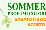 Sommer fest 2018 a Canove Sommer fest 2018 a Canove