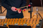 Asiago percussion concert marimba, vibraphone and cello - ASIAGO FESTIVAL 2020 - 9 August 2020