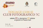 Exhibition "Foliage with the Photographic Club 7C" in Piazza Carli - 23 and 24 October 2021