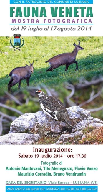 Mostra fotografica fauna veneta lusiana estate 2014