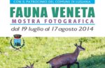 Photo exhibition FAUNA VENETA in Lusiana, Asiago plateau, 19/7-8/17/2014