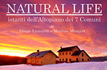 Mostra sull'Altopiano NATURAL LIFE foto Lunardi e Munari, Gallio 27/12 al 5/1