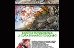 "Paesaggi bestiali" - Mostra fotografica del naturalista Marco Colombo a Gallio - Dal 27 luglio al 3 agosto 2019