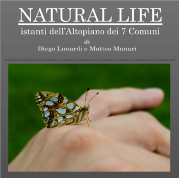 natural life