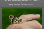 NATURAL LIFE - Immagini e filmati dell'Altopiano - Gallio - 9 agosto 2019