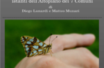 Immagini e filmati dell'Altopiano con NATURAL LIFE a Stoccareddo - 13 agosto 2019