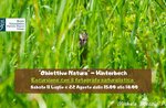 “Obiettivo Natura” - Escursione con il fotografo naturalista presso Hinterbech - Asiago, 22 agosto 2020