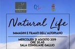 NATURAL LIFE - Bilder und Filme des Gallio Plateaus - 21. August 2019