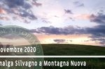 DA MALGA SILVAGNO A MONTAGNA escursione guidata naturalistica, 22 novembre 2020 